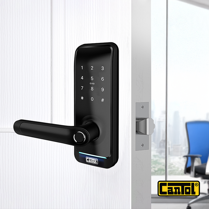 La Tienda Principal De La Imagen